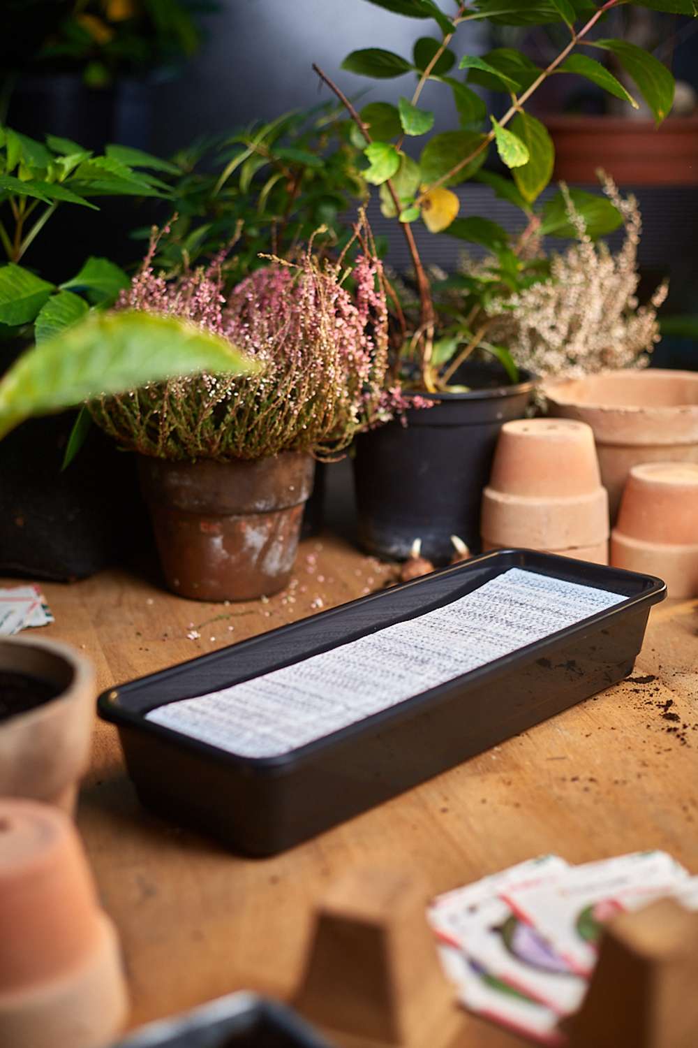 Miniväxthus med vattenreservoar